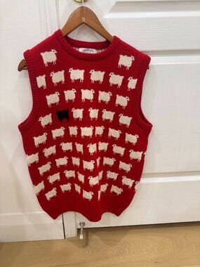 Never Worn Warm and Wonderful Sheep Vest